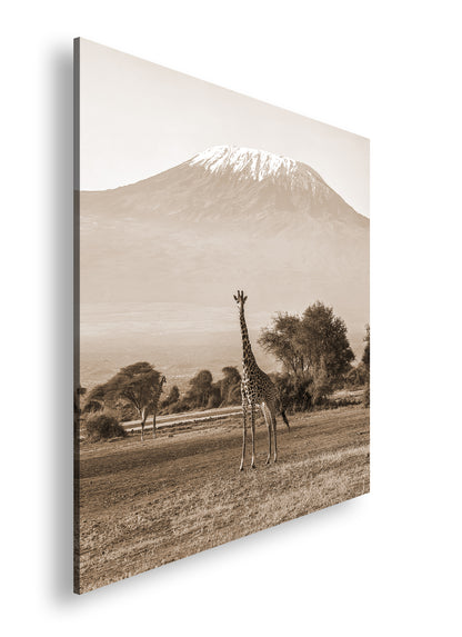 Hauptbild Sepia Quadratisch