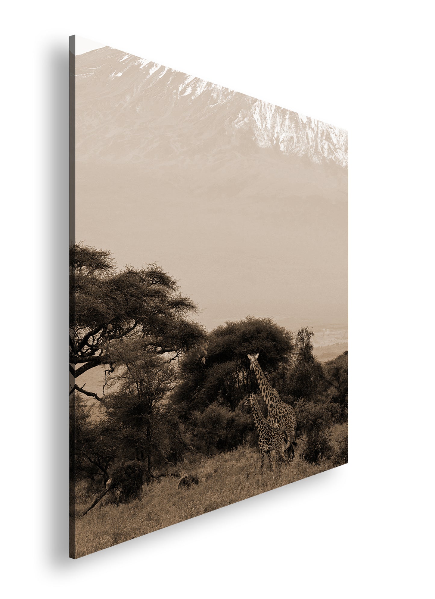 Hauptbild Sepia Quadratisch