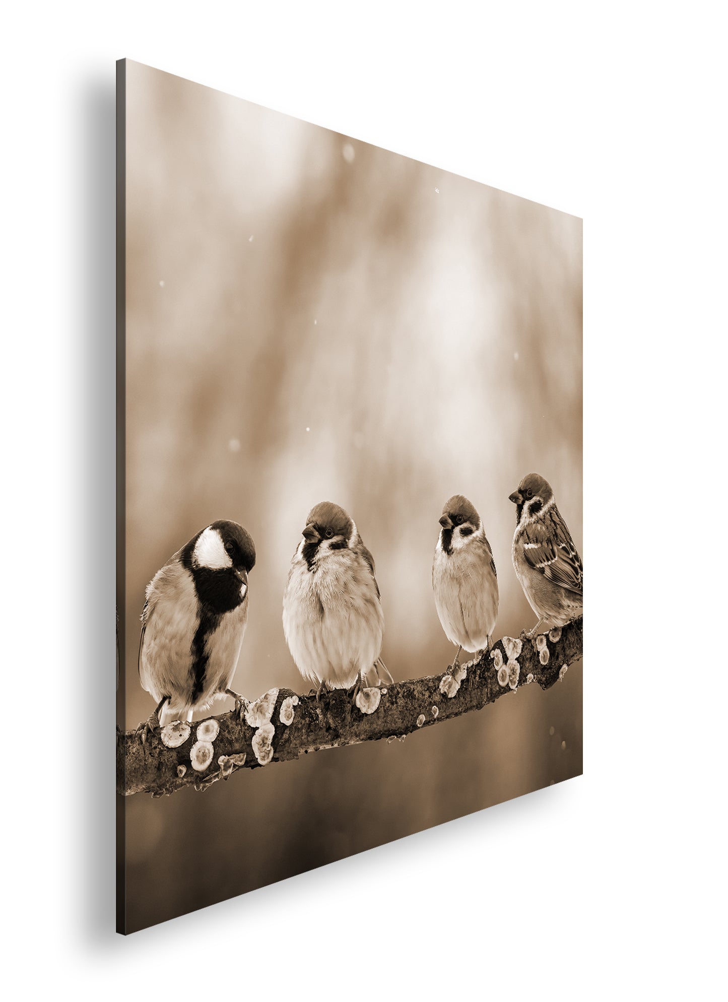 Hauptbild Sepia Quadratisch