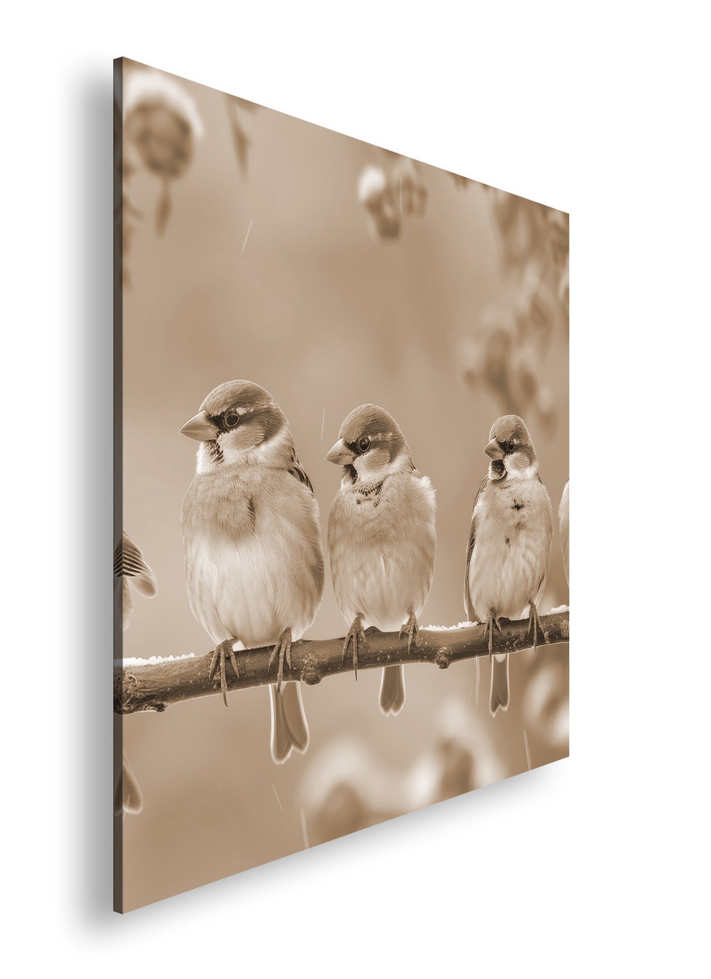 Hauptbild Sepia Quadratisch