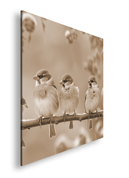 Hauptbild Sepia Quadratisch