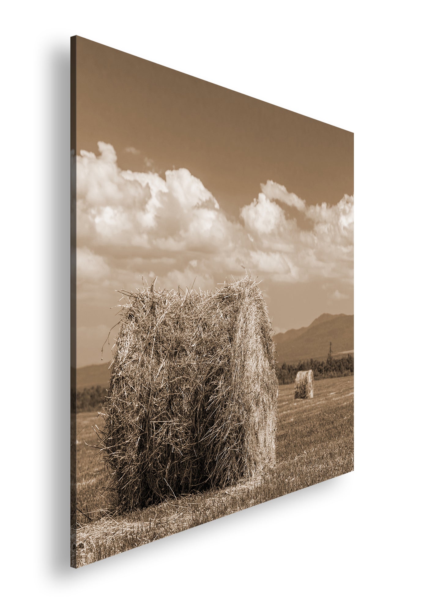 Hauptbild Sepia Quadratisch