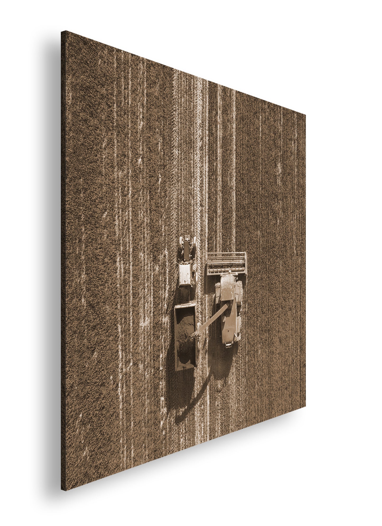 Hauptbild Sepia Quadratisch