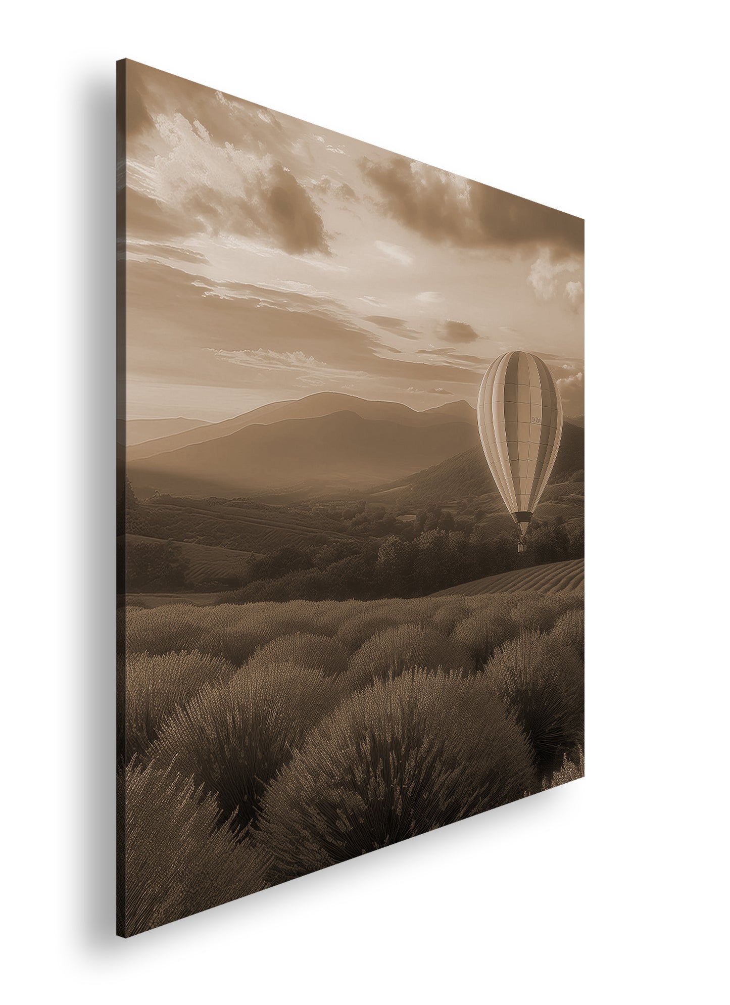 Hauptbild Sepia Quadratisch