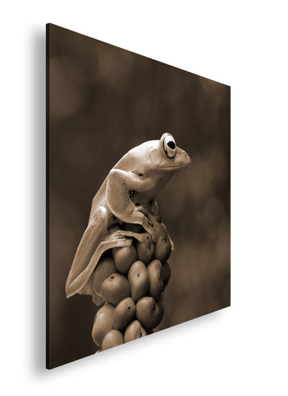 Hauptbild Sepia Quadratisch