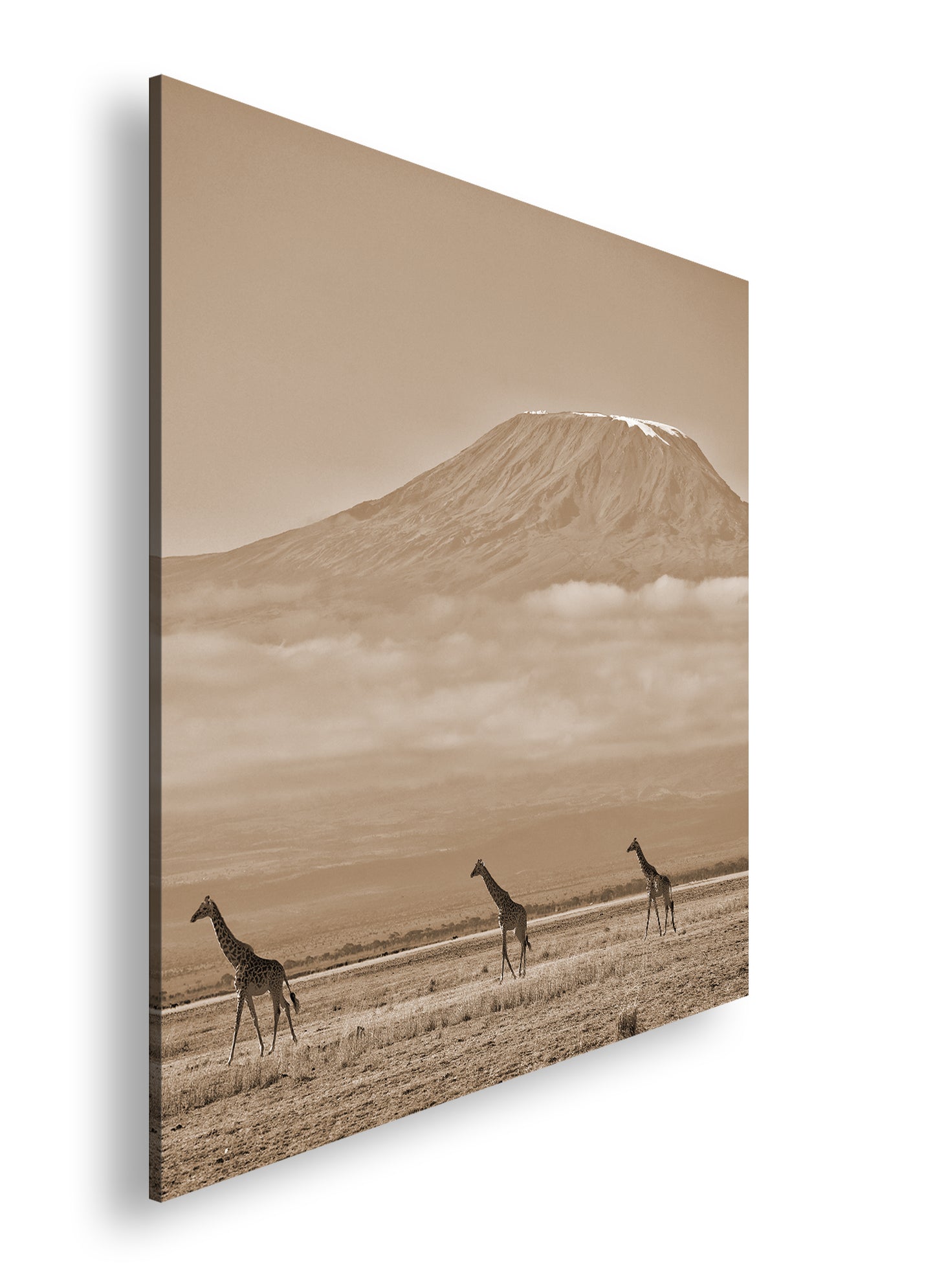 Hauptbild Sepia Quadratisch