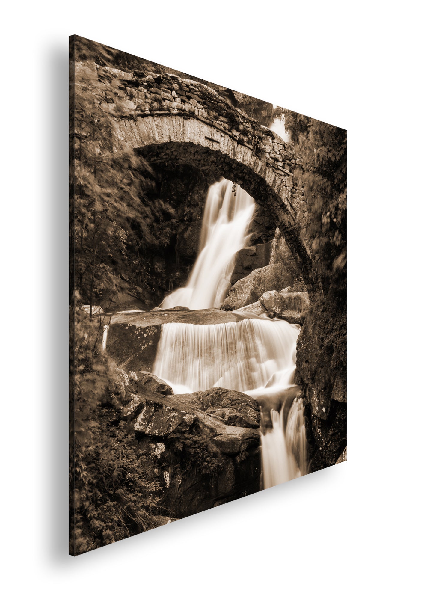 Hauptbild Sepia Quadratisch