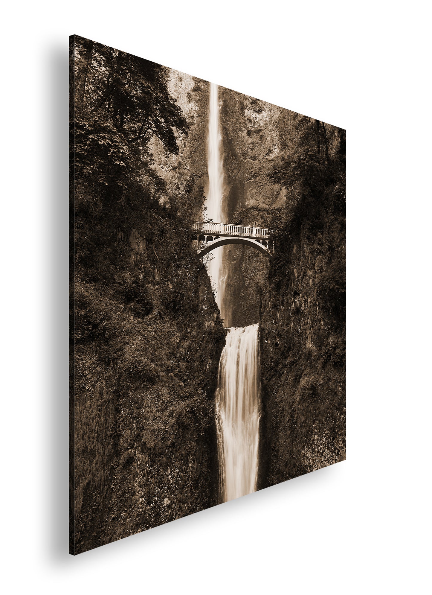 Hauptbild Sepia Quadratisch