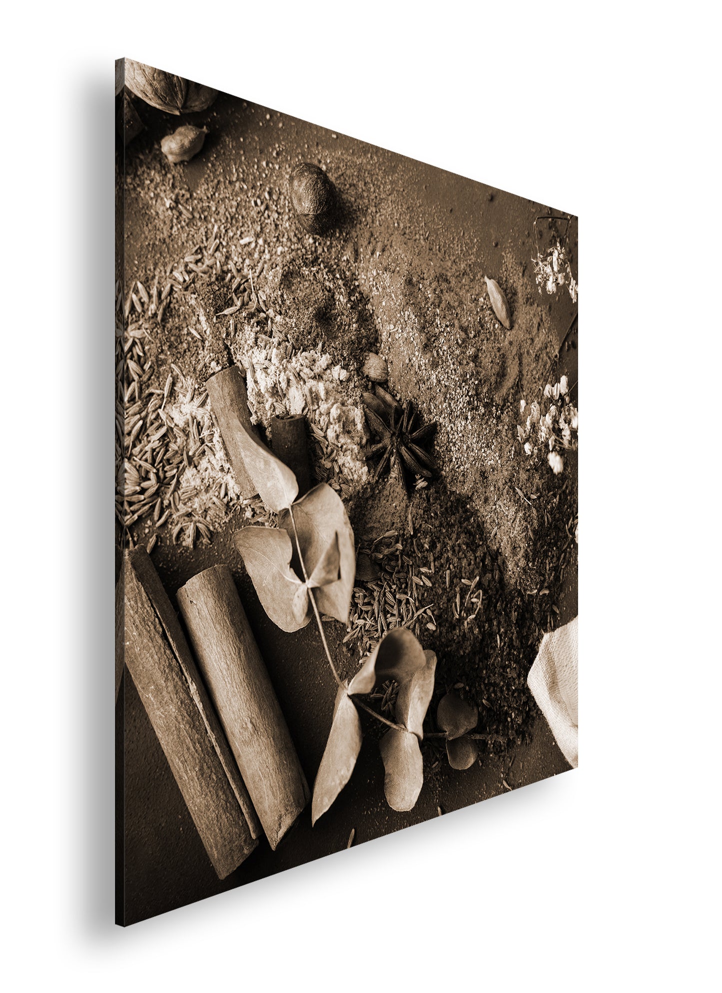 Hauptbild Sepia Quadratisch