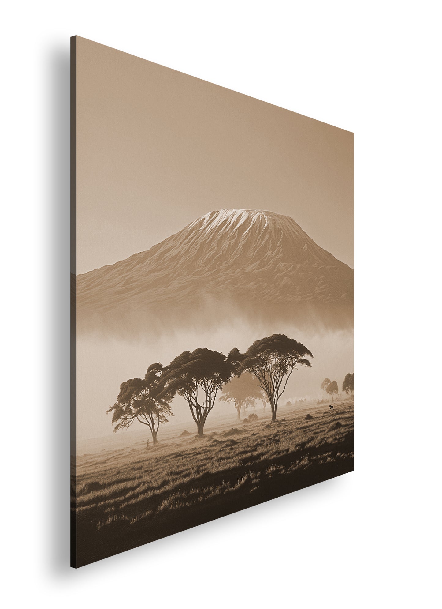 Hauptbild Sepia Quadratisch