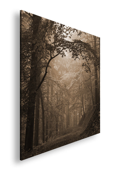 Hauptbild Sepia Quadratisch