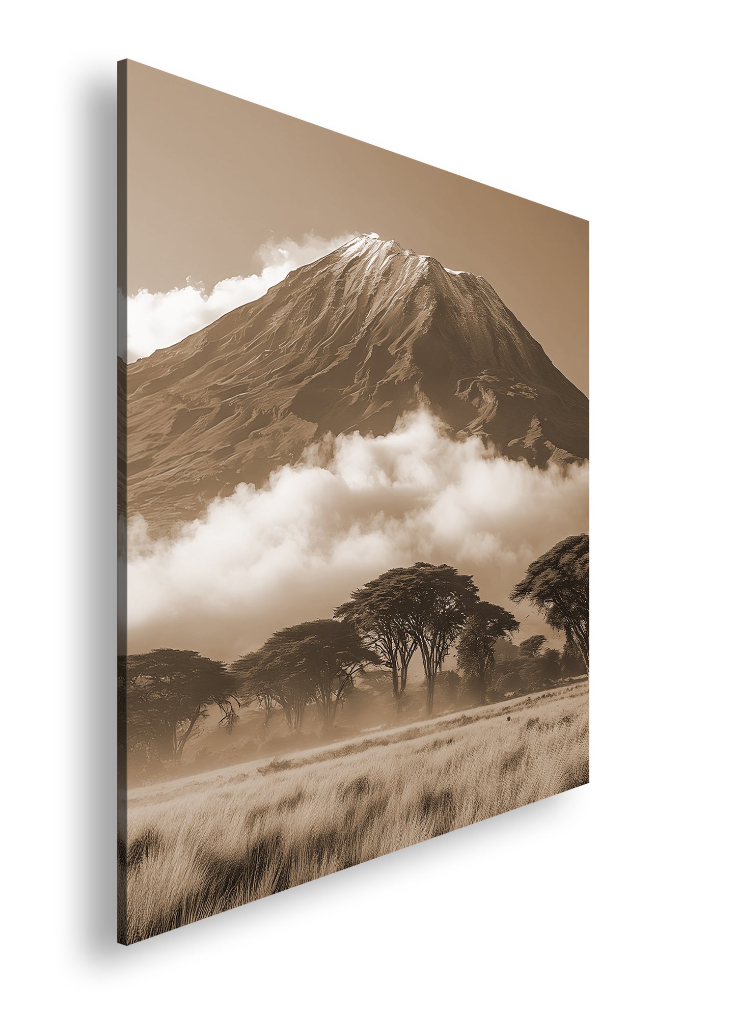 Hauptbild Sepia Quadratisch