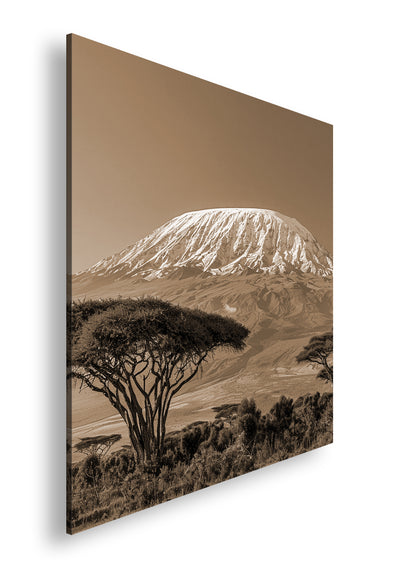 Hauptbild Sepia Quadratisch