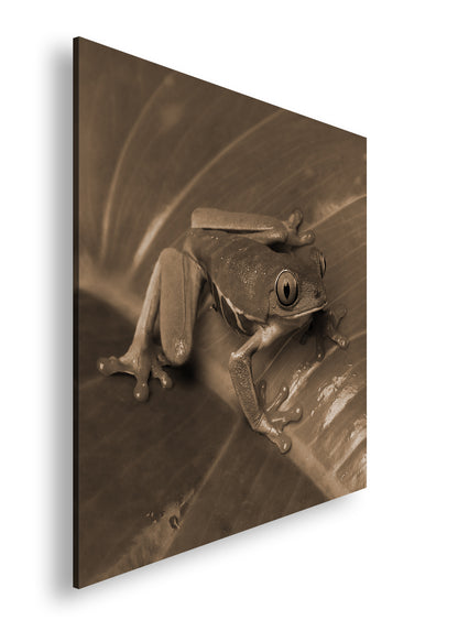 Hauptbild Sepia Quadratisch