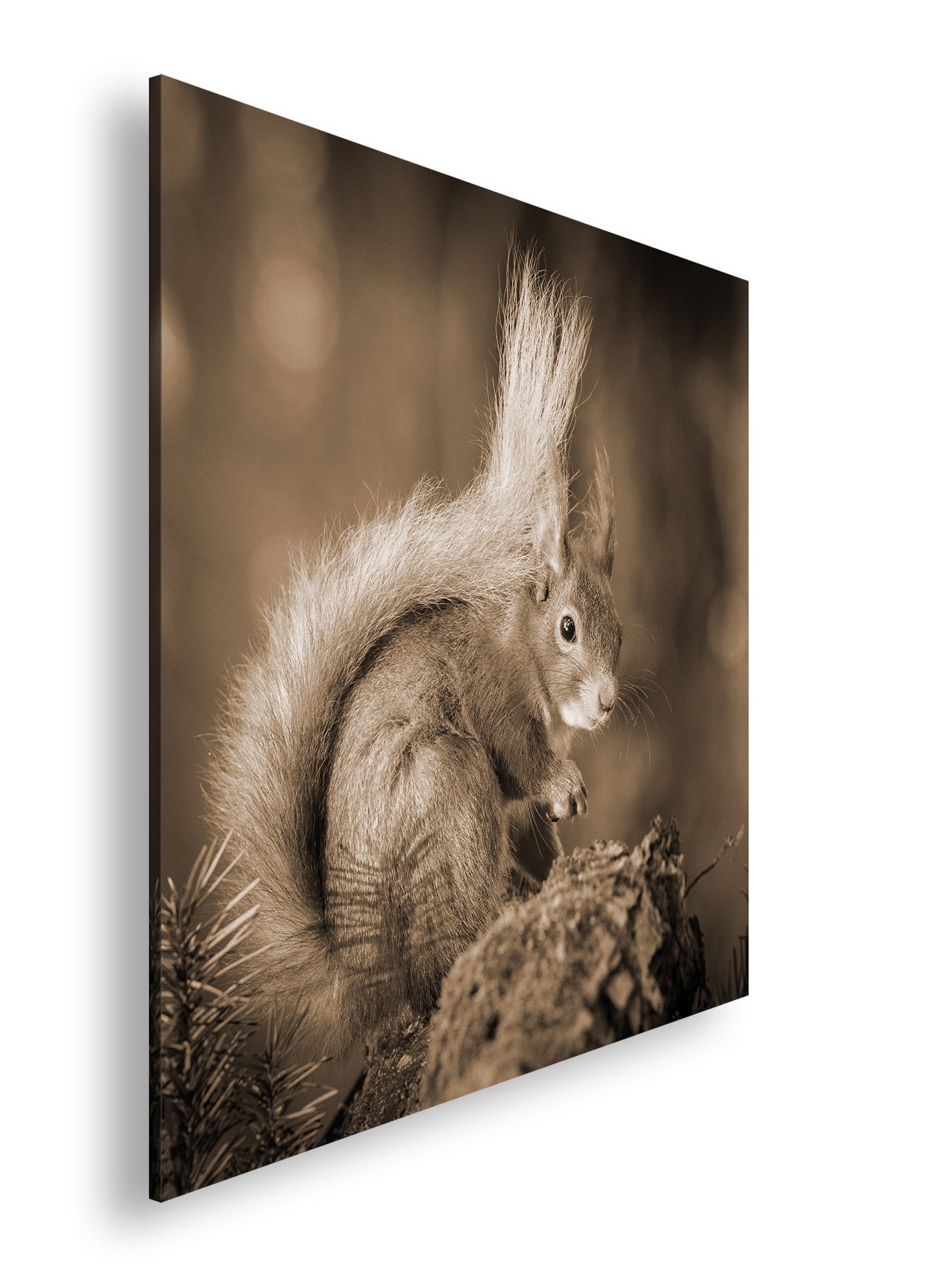 Hauptbild Sepia Quadratisch