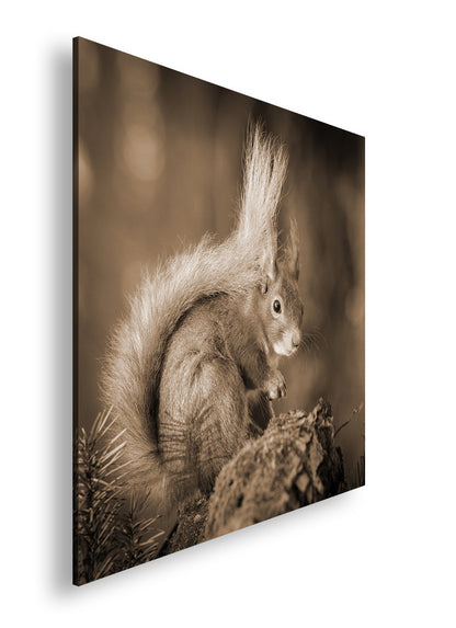 Hauptbild Sepia Quadratisch