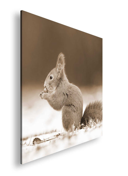 Hauptbild Sepia Quadratisch