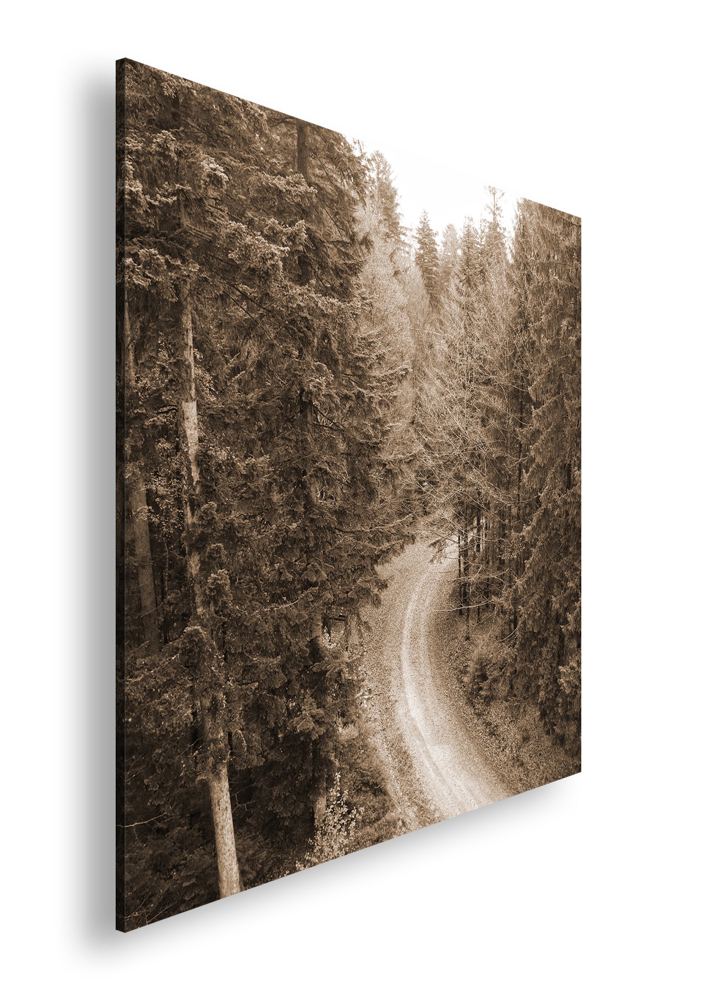 Hauptbild Sepia Quadratisch