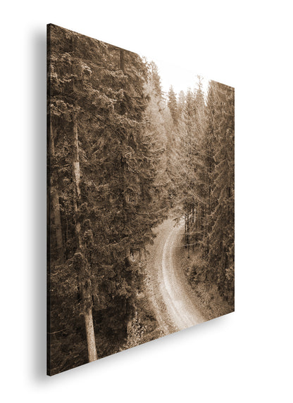 Hauptbild Sepia Quadratisch