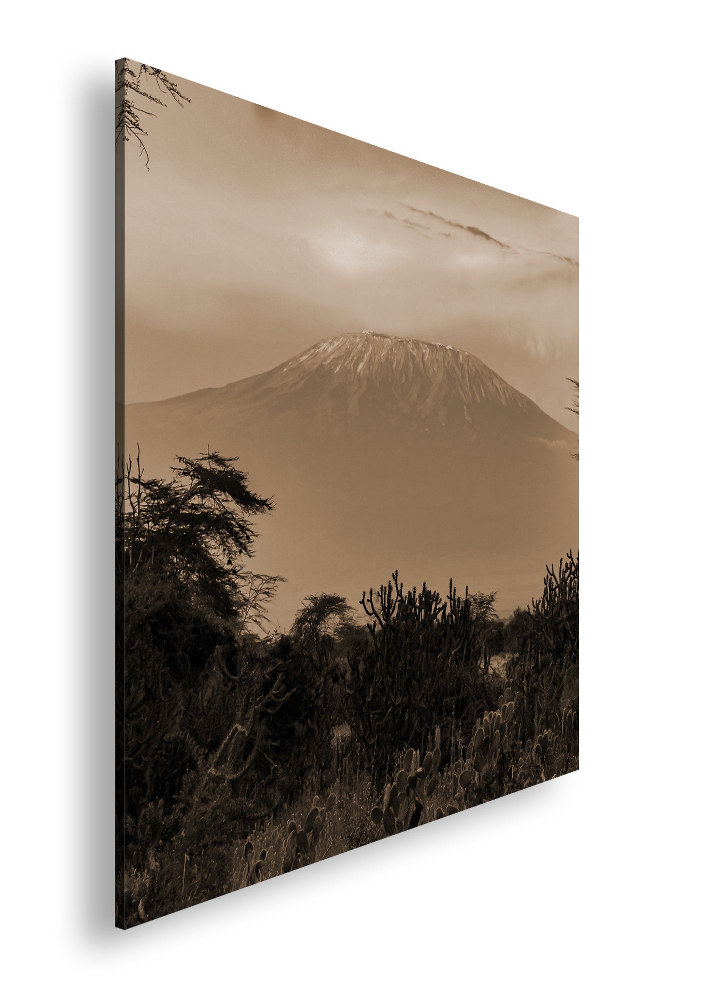 Hauptbild Sepia Quadratisch