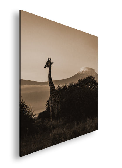 Hauptbild Sepia Quadratisch