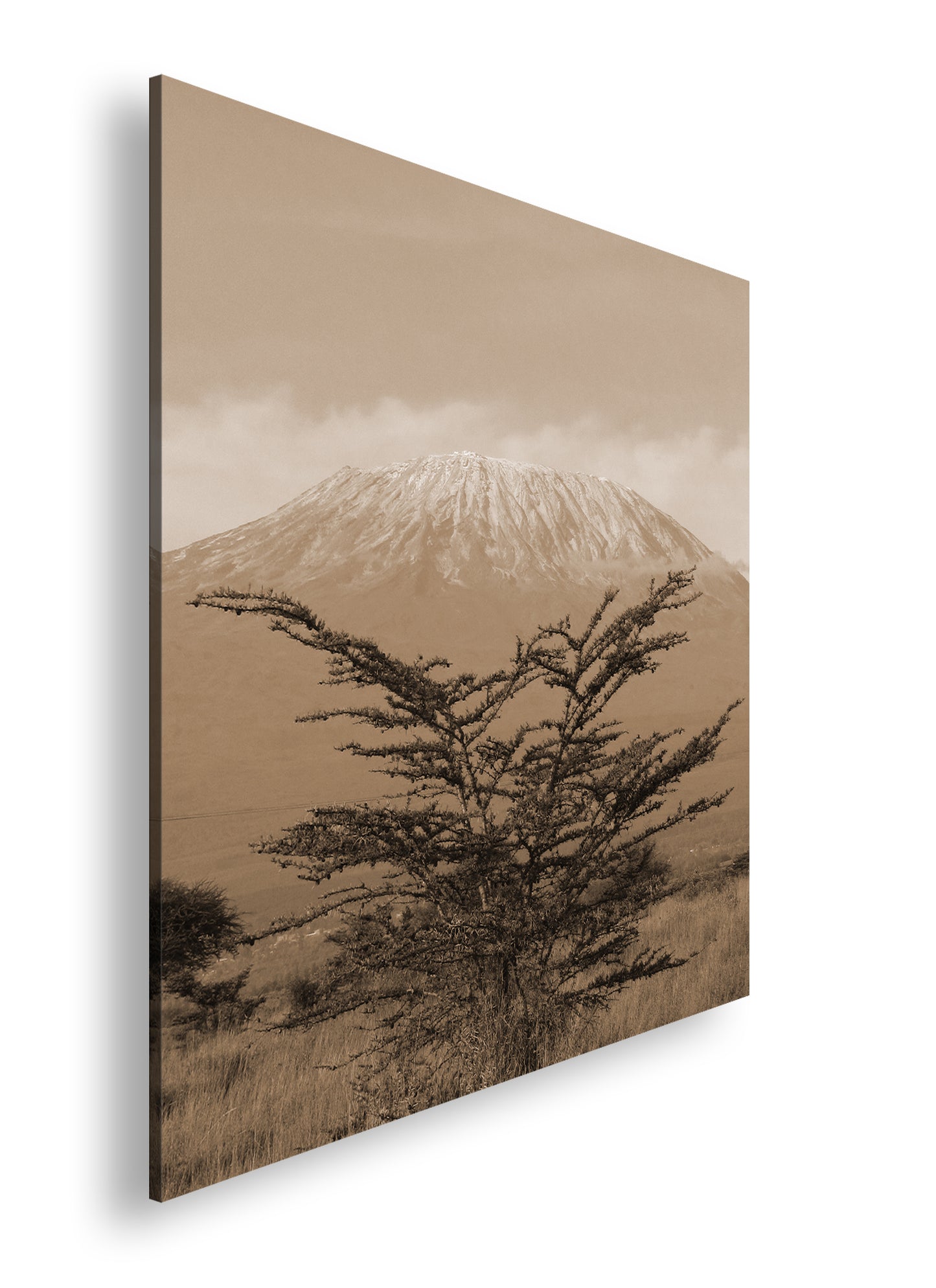 Hauptbild Sepia Quadratisch