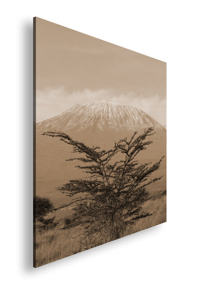 Hauptbild Sepia Quadratisch