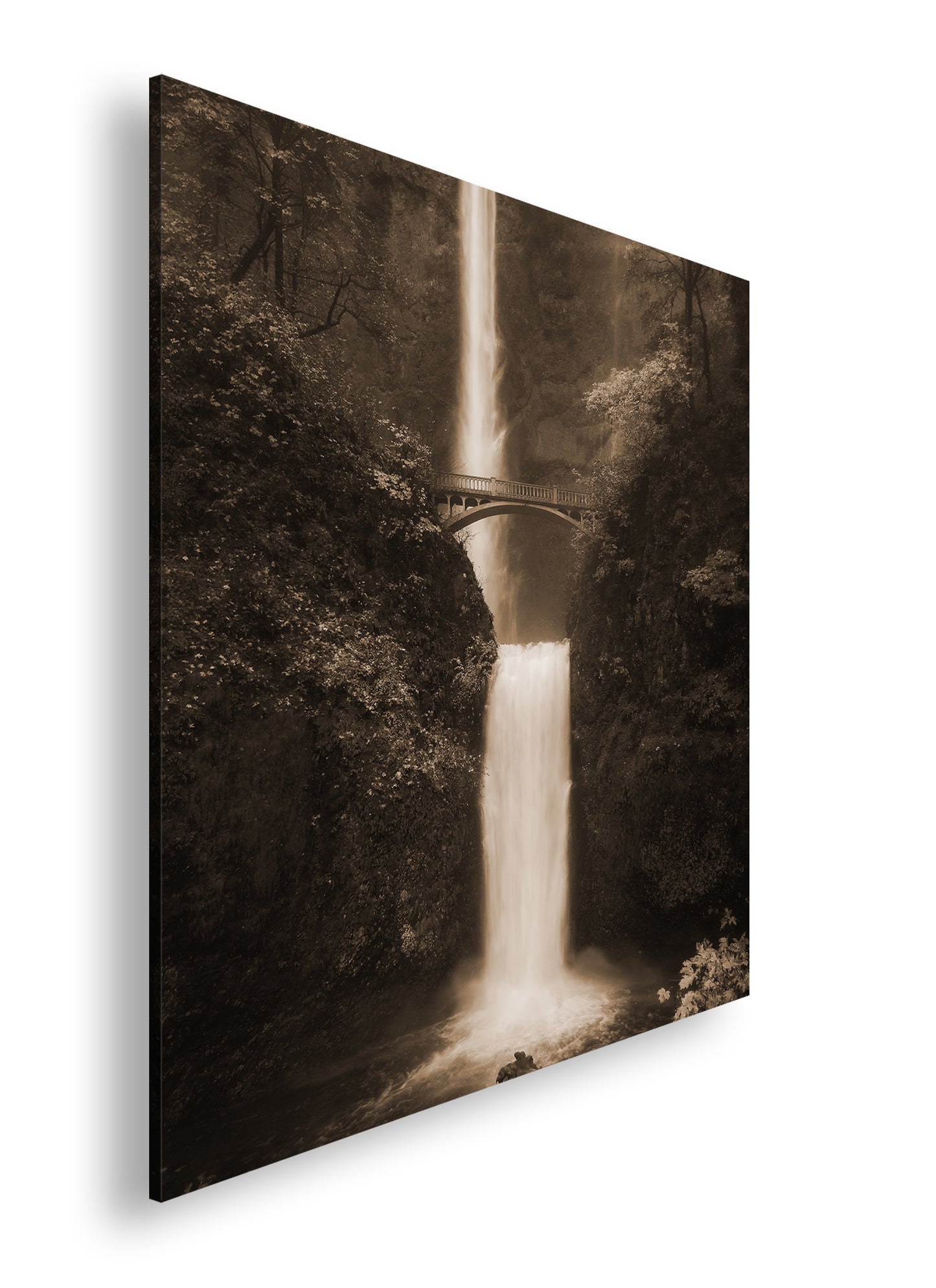 Hauptbild Sepia Quadratisch