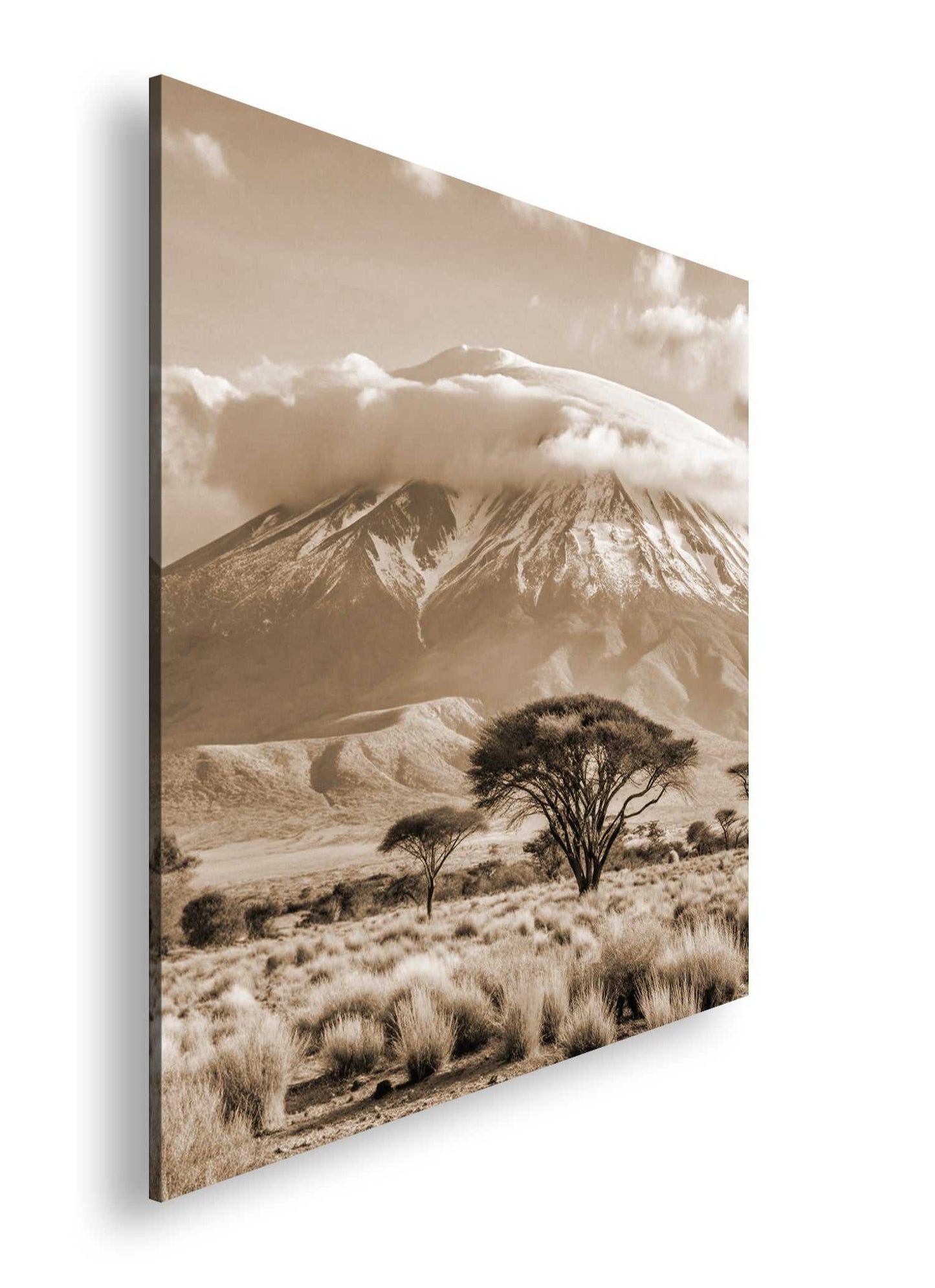 Hauptbild Sepia Quadratisch