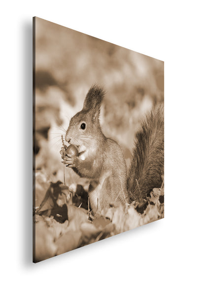 Hauptbild Sepia Quadratisch