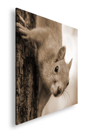 Hauptbild Sepia Quadratisch