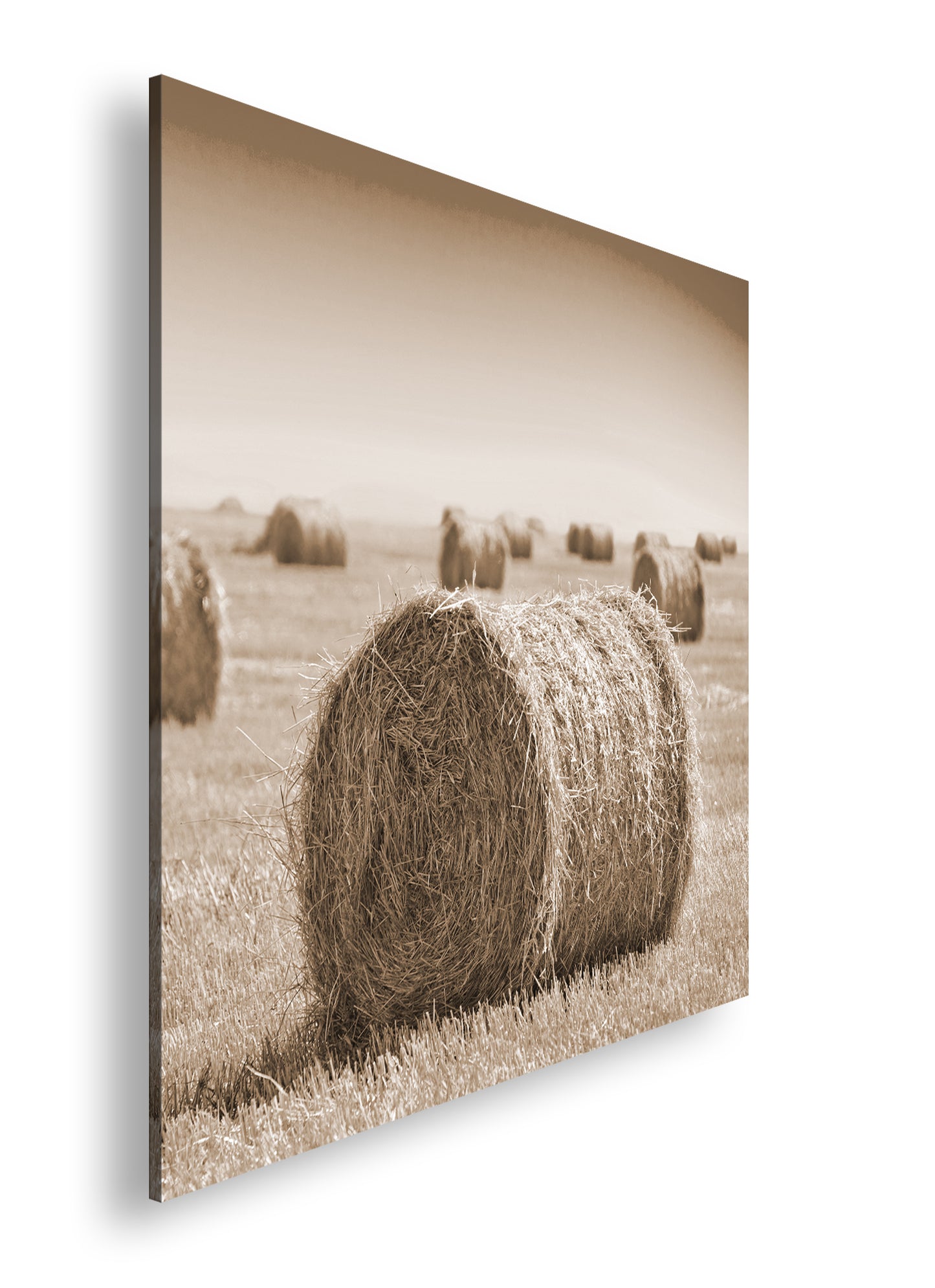 Hauptbild Sepia Quadratisch