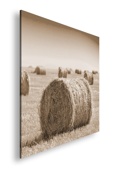 Hauptbild Sepia Quadratisch