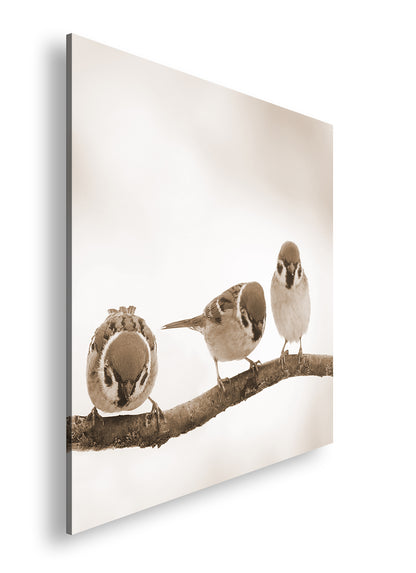 Hauptbild Sepia Quadratisch