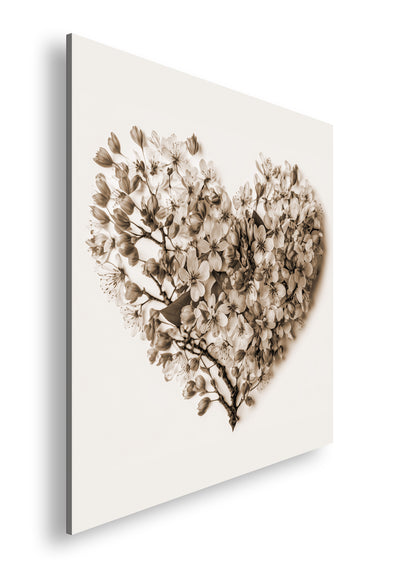 Hauptbild Sepia Quadratisch