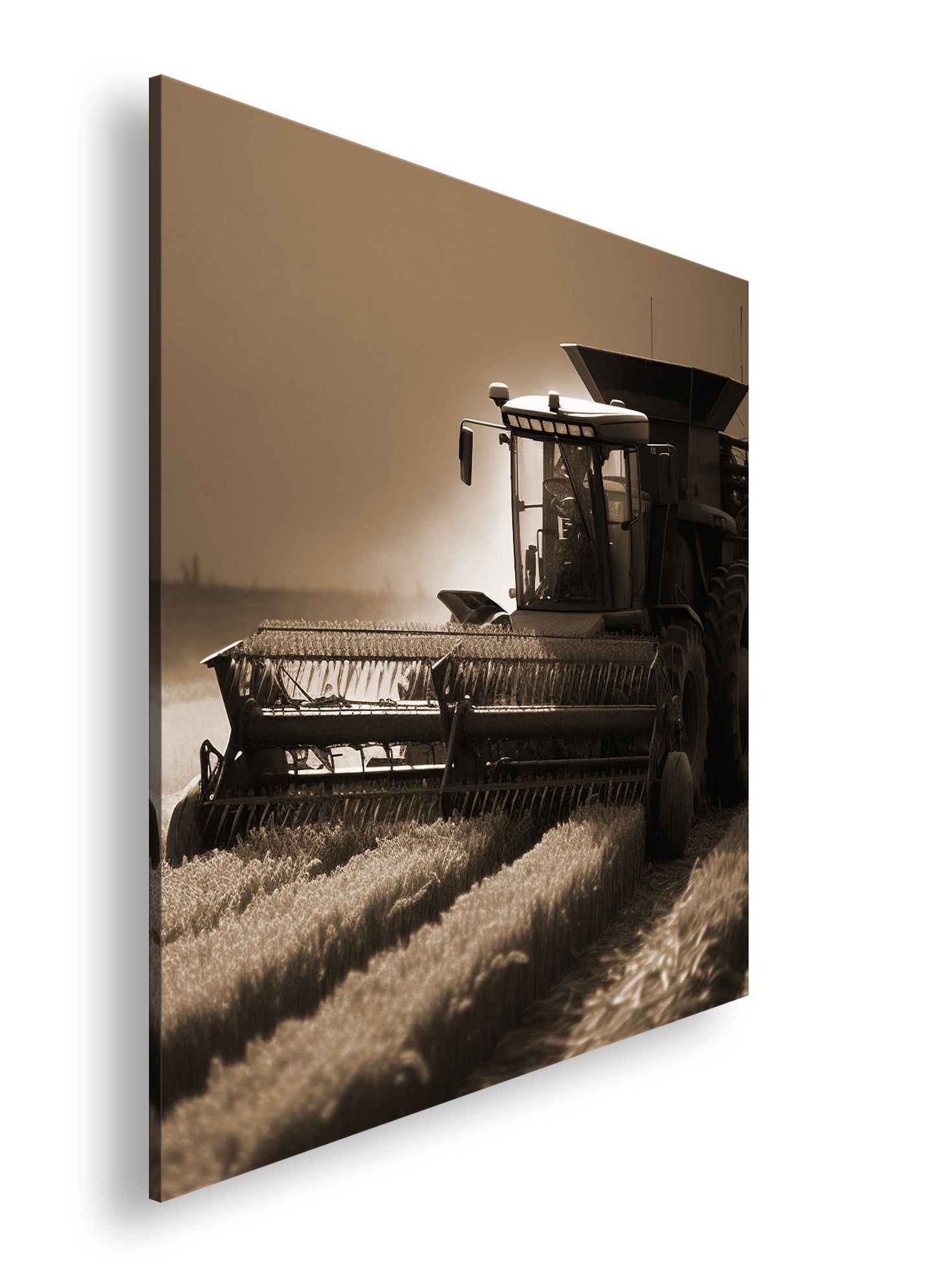 Hauptbild Sepia Quadratisch
