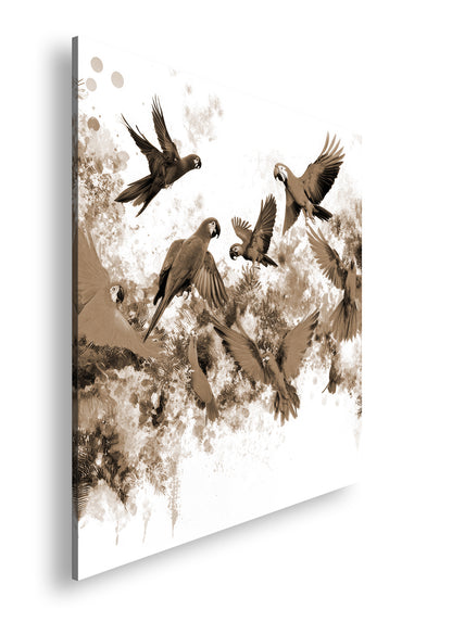 Hauptbild Sepia Quadratisch