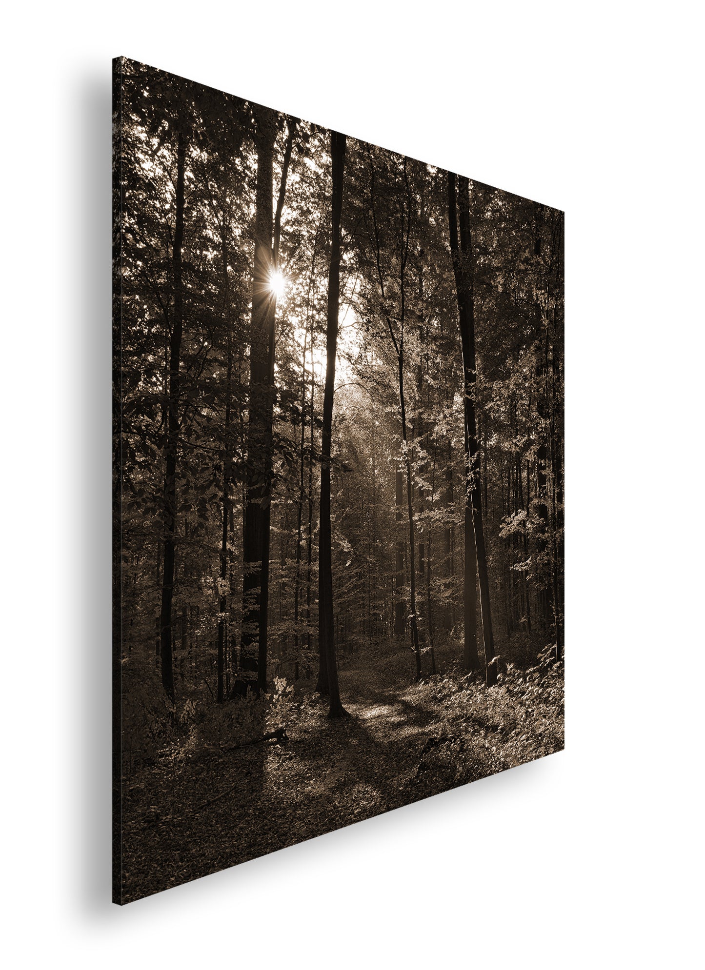 Hauptbild Sepia Quadratisch