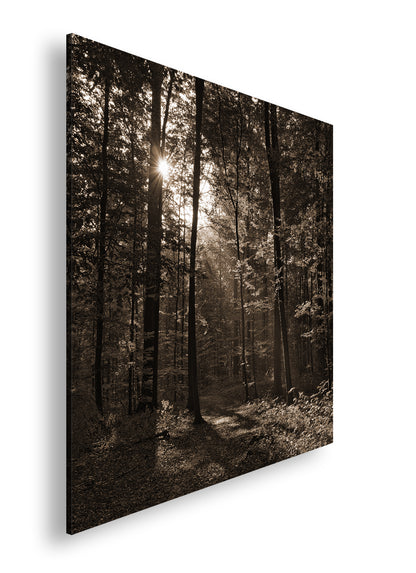 Hauptbild Sepia Quadratisch