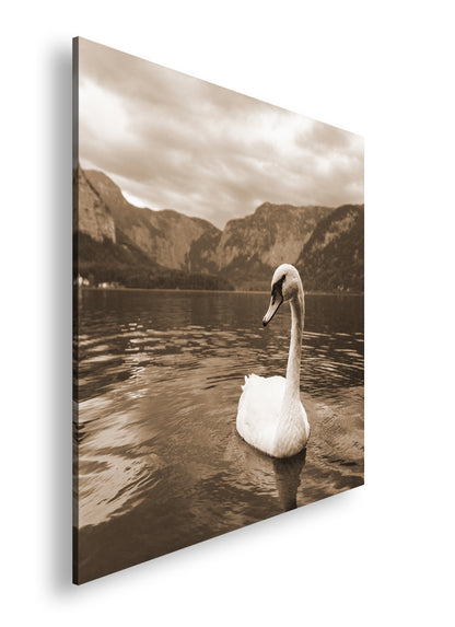 Hauptbild Sepia Quadratisch