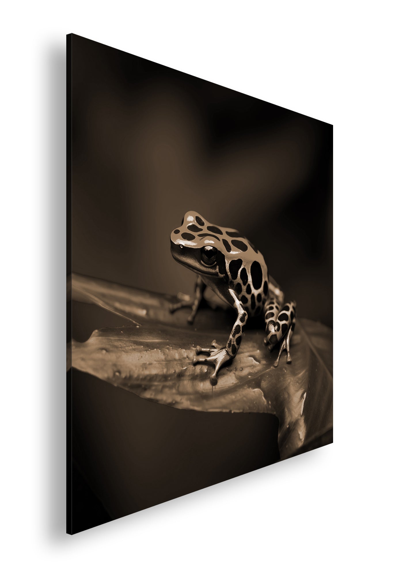 Hauptbild Sepia Quadratisch