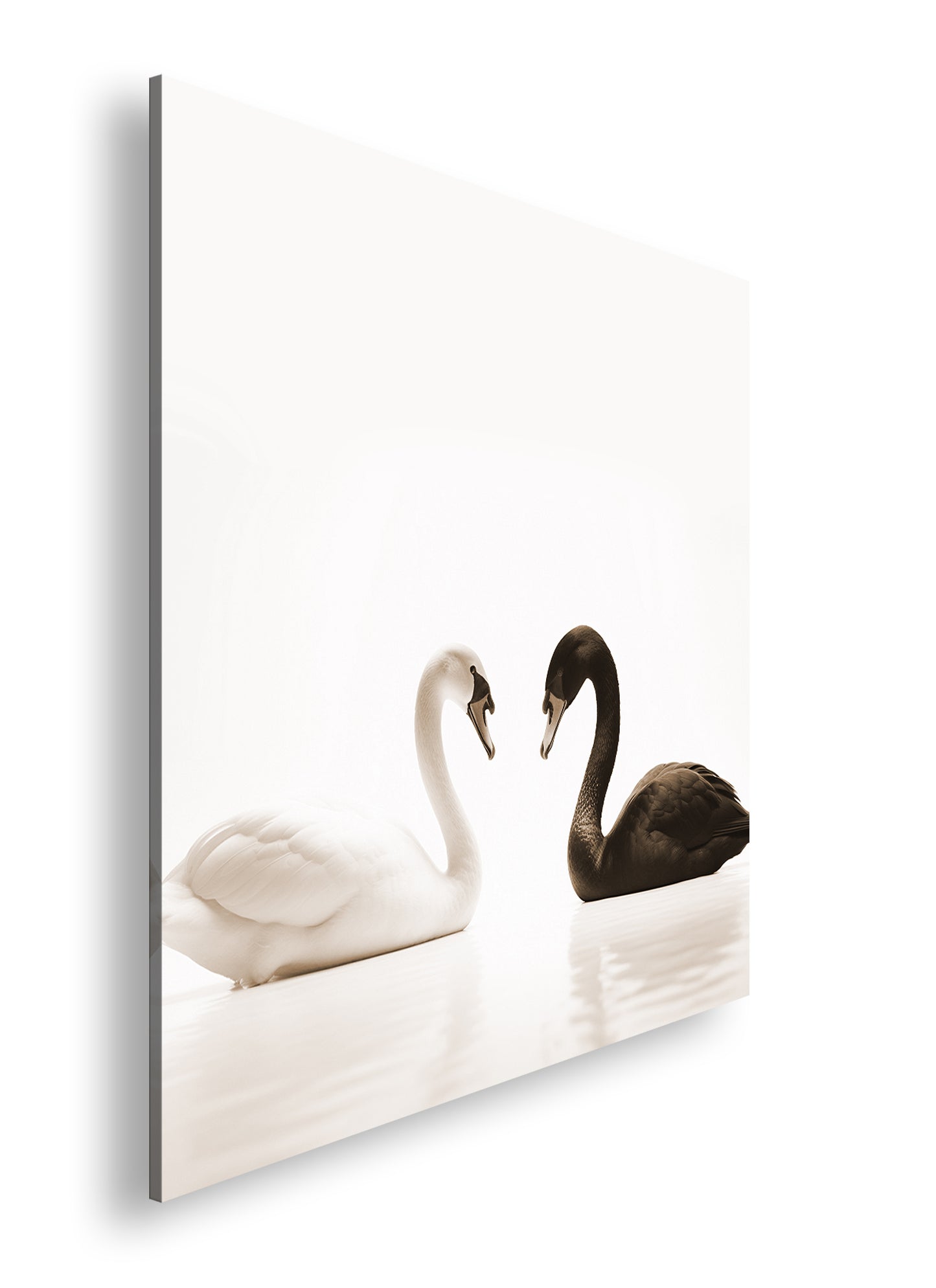 Hauptbild Sepia Quadratisch