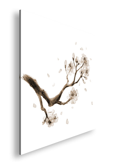 Hauptbild Sepia Quadratisch