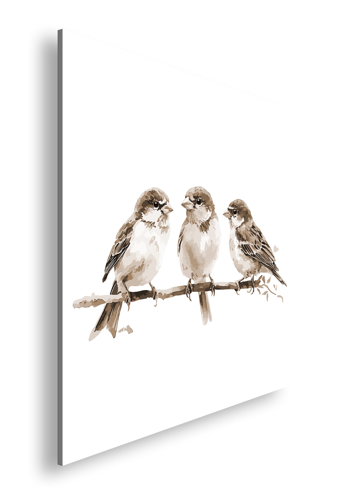 Hauptbild Sepia Quadratisch