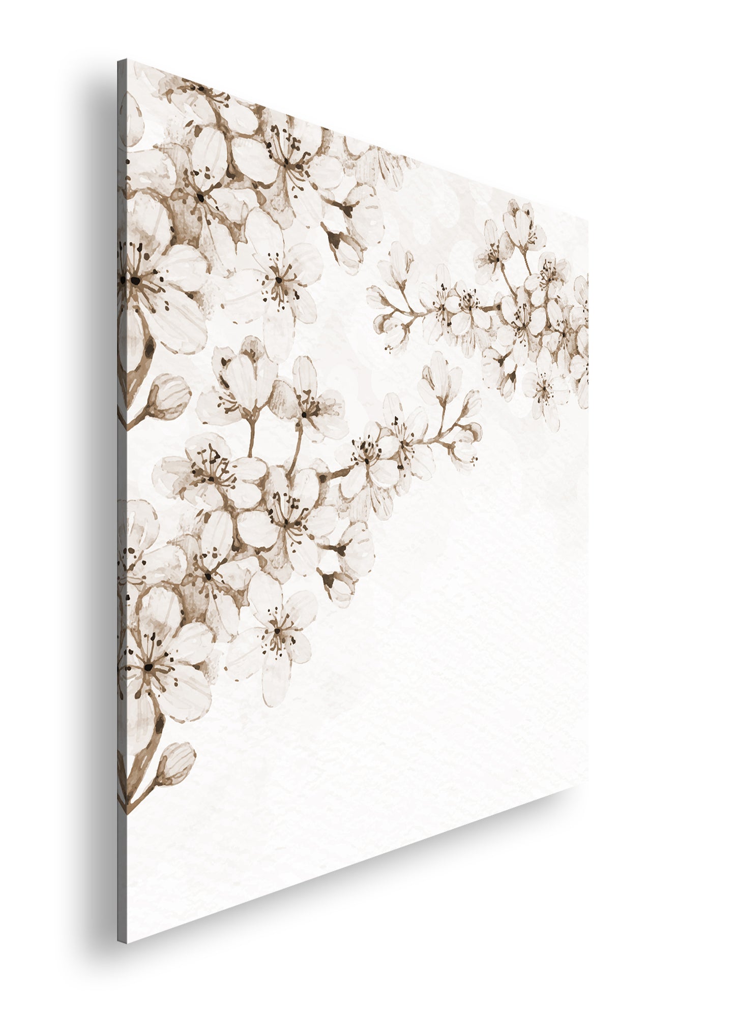 Hauptbild Sepia Quadratisch