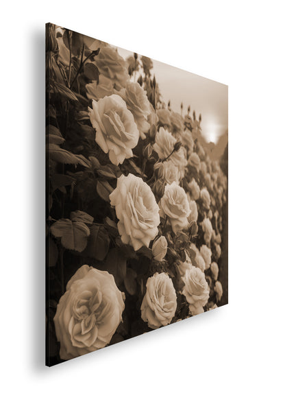 Hauptbild Sepia Quadratisch