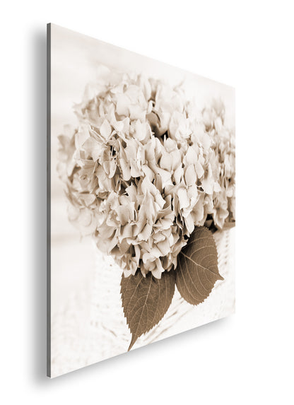 Hauptbild Sepia Quadratisch