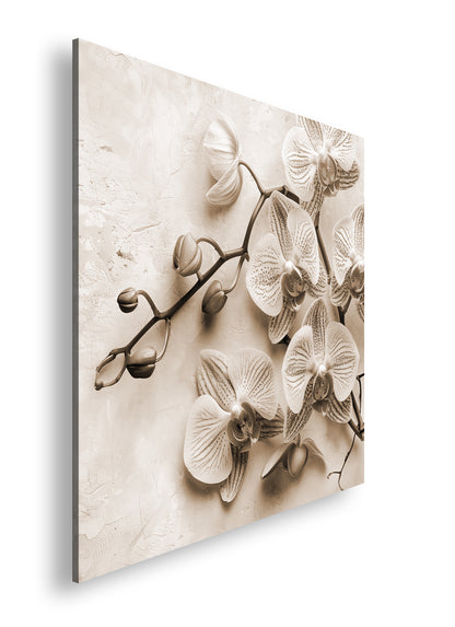 Hauptbild Sepia Quadratisch