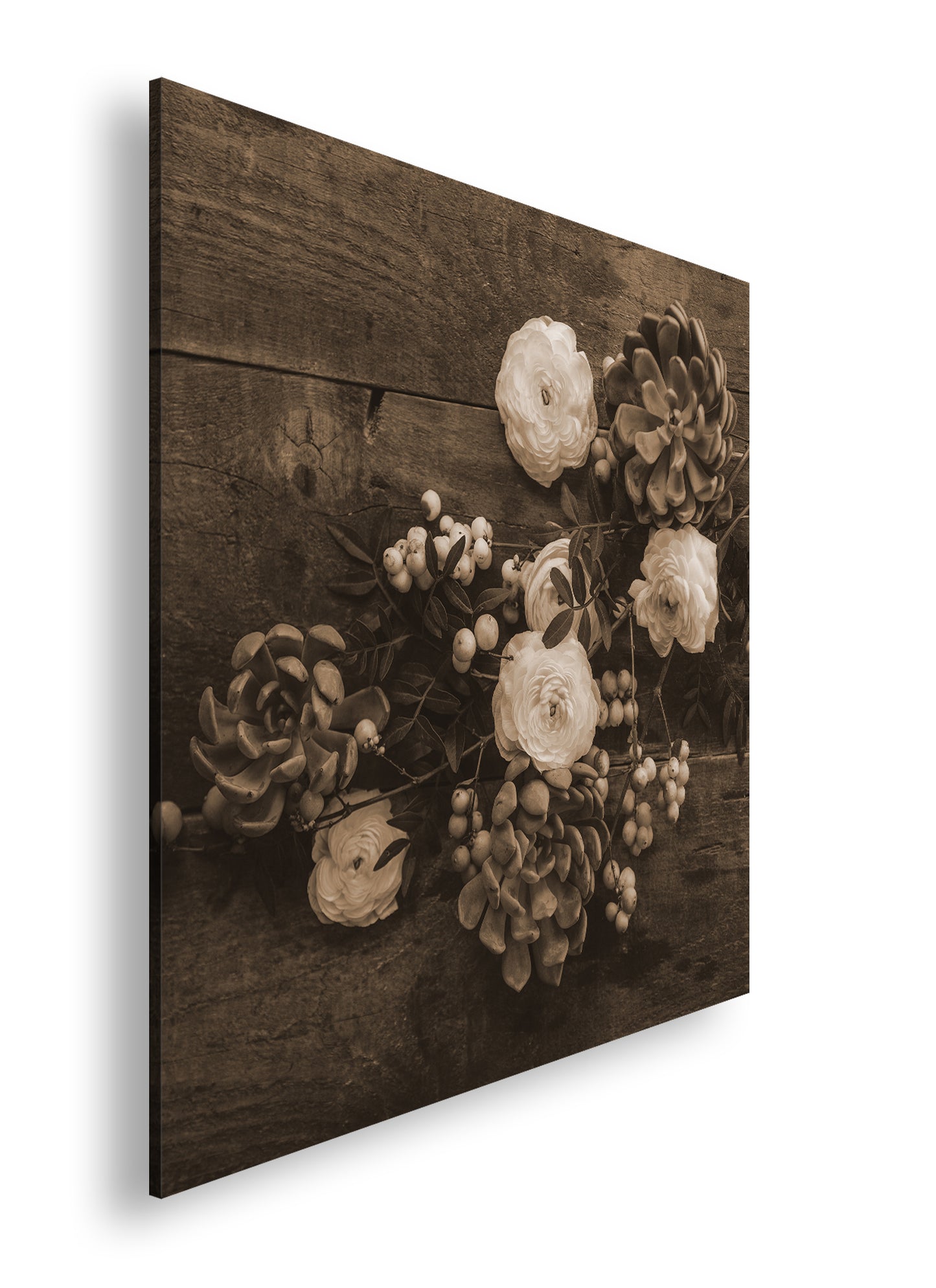 Hauptbild Sepia Quadratisch