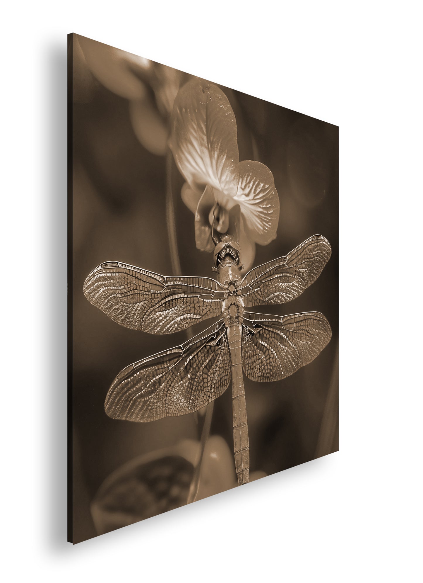 Hauptbild Sepia Quadratisch